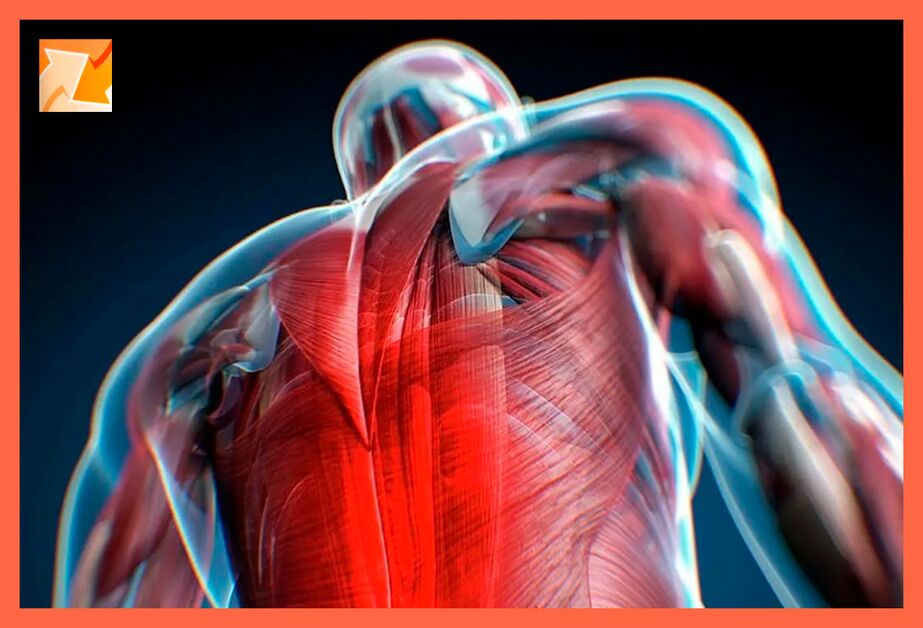 Characteristics of the discomfort