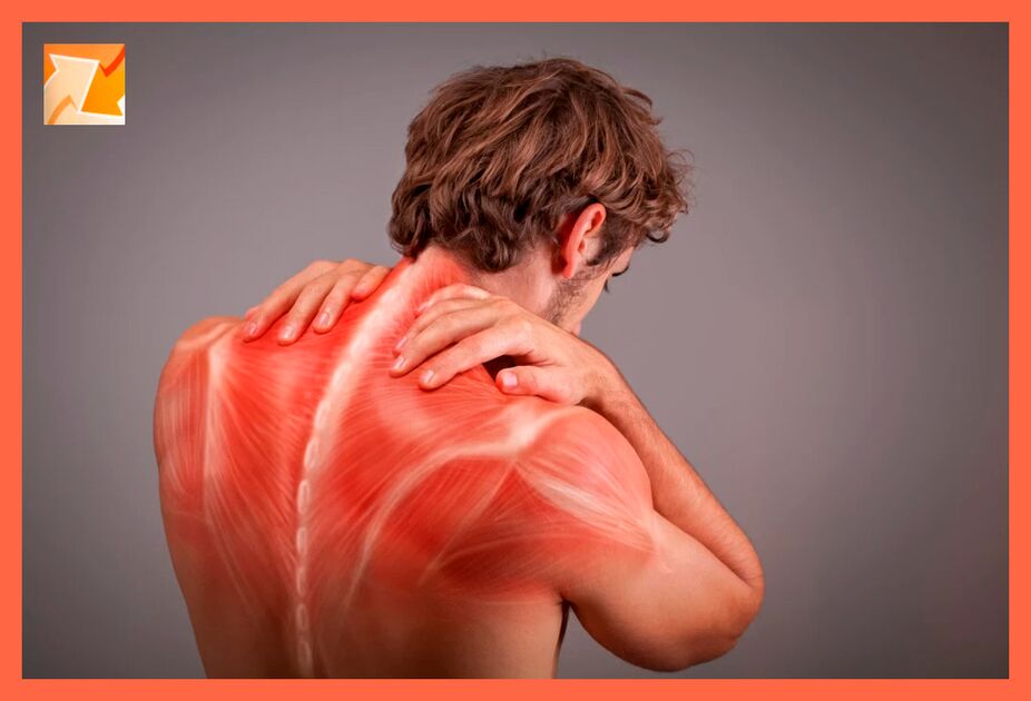 The effect of Hondroten gel on the muscles and ligaments of the back